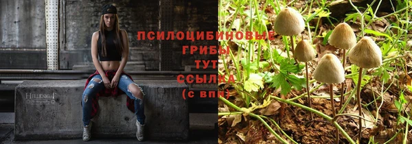 Альфа ПВП Абинск