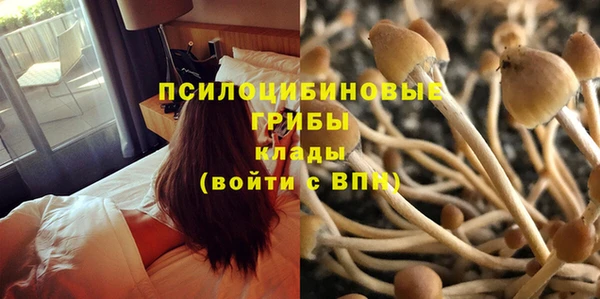 MESCALINE Абаза