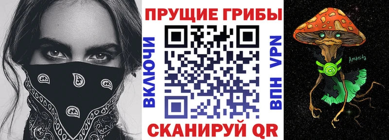 Псилоцибиновые грибы MAGIC MUSHROOMS  OMG вход  Рассказово 