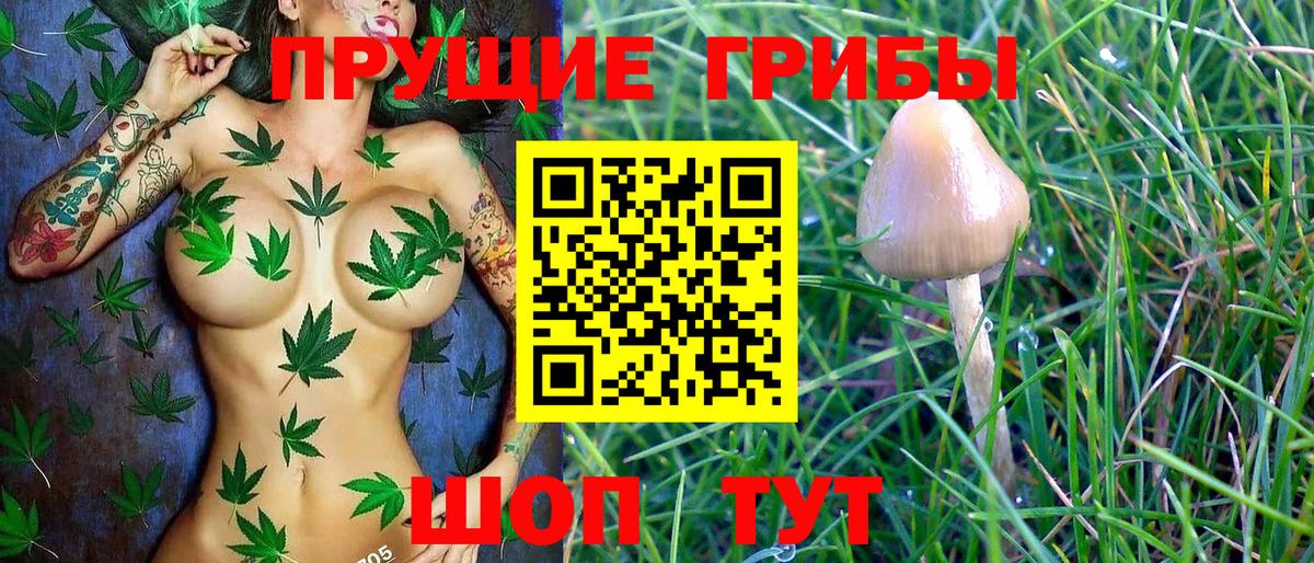 Псилоцибиновые грибы Psilocybine cubensis  Вход с VPN  где продают   Рассказово 