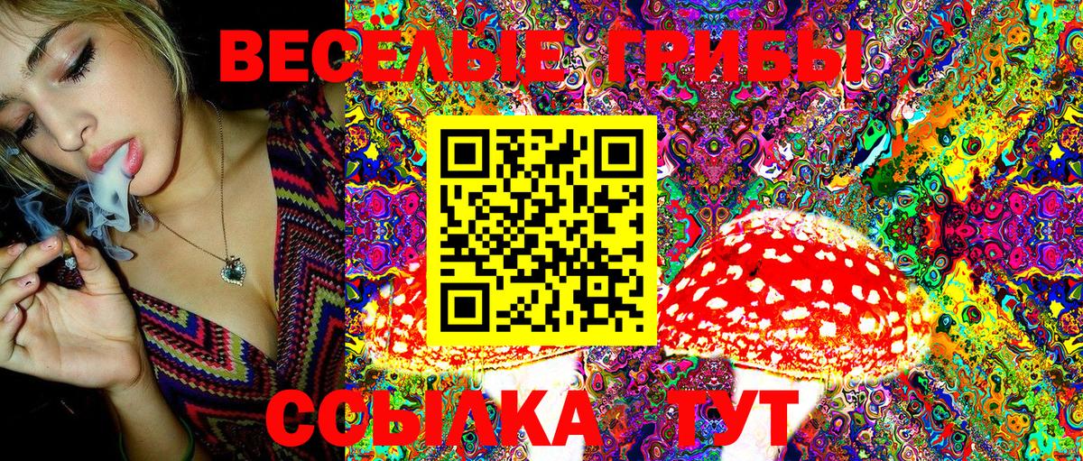 МЕФ Рассказово