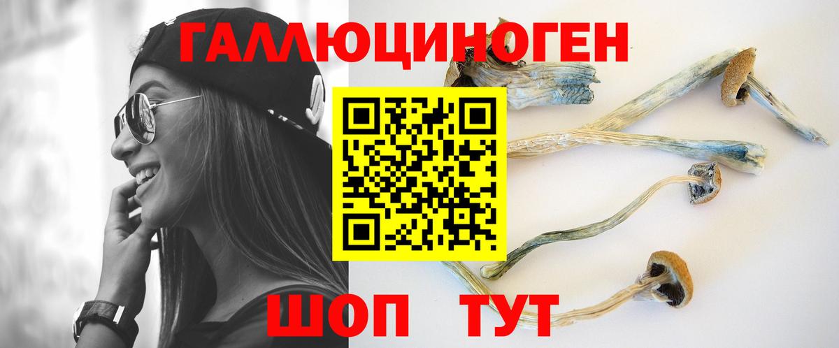 Галлюциногенные грибы GOLDEN TEACHER Рассказово