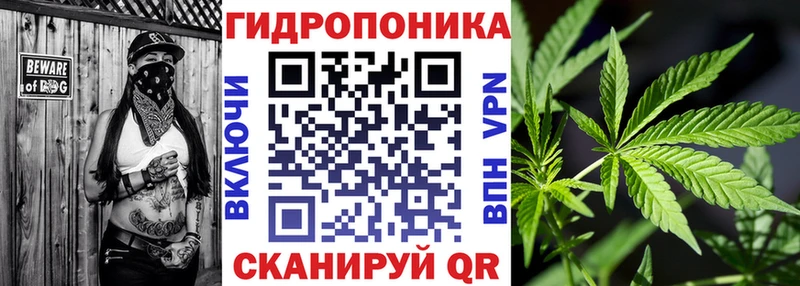 купить наркоту  Рассказово  Бошки марихуана индика 